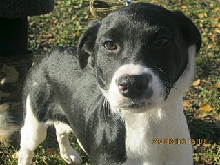 click for enlarge 807 X 605 100.4 Kb picture