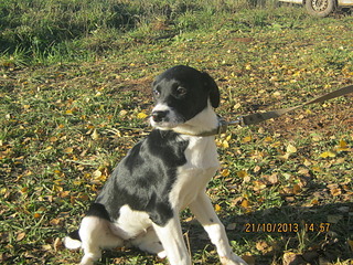 click for enlarge 1920 X 1440 541.4 Kb picture