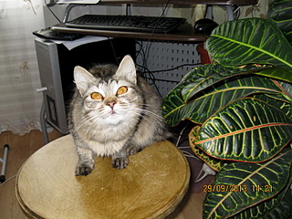 click for enlarge 1600 X 1200 702.5 Kb picture