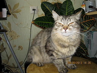 click for enlarge 1600 X 1200 724.5 Kb picture