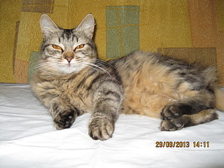 click for enlarge 1600 X 1200 639.2 Kb picture