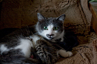 click for enlarge 1920 X 1280 961.3 Kb picture