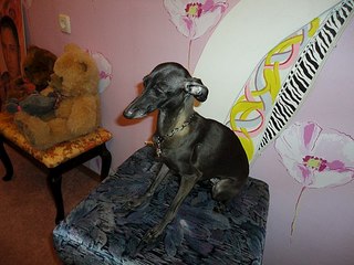 click for enlarge 604 X 453 55.4 Kb picture