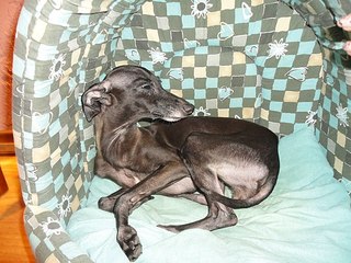 click for enlarge 604 X 453 74.8 Kb picture