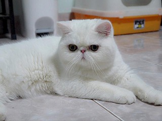 click for enlarge 800 X 600 35.3 Kb picture