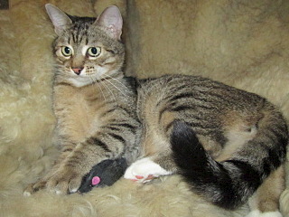 click for enlarge 640 X 480 111.2 Kb picture