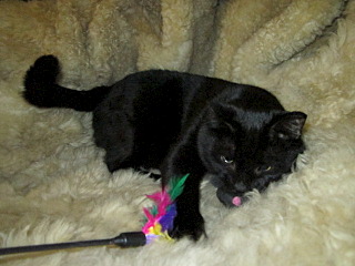 click for enlarge 640 X 480 92.9 Kb picture