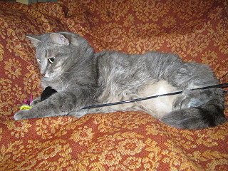 click for enlarge 640 X 480 166.3 Kb picture