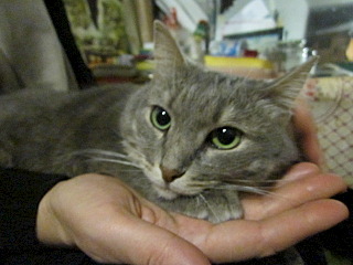 click for enlarge 640 X 480 96.1 Kb picture