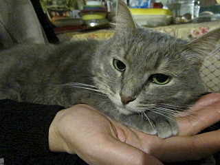 click for enlarge 640 X 480 107.5 Kb picture