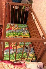 click for enlarge 1728 X 2592 1019.9 Kb picture