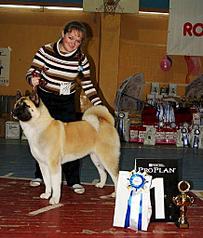 click for enlarge 435 X 512 58.7 Kb picture