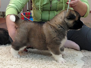 click for enlarge 633 X 475 116.4 Kb picture