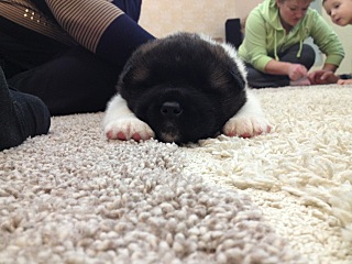 click for enlarge 1280 X 960 272.0 Kb picture