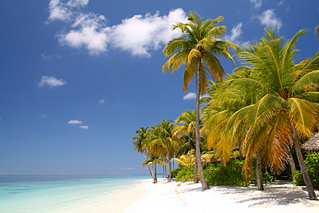 click for enlarge 800 X 533 527.5 Kb picture