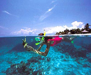 click for enlarge 600 X 494 24.1 Kb picture