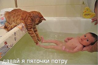 click for enlarge 493 X 330 26.6 Kb picture