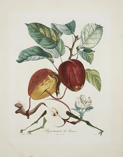 click for enlarge 504 X 644 213.2 Kb picture