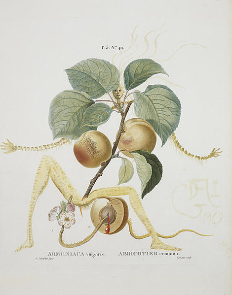 click for enlarge 507 X 646 208.6 Kb picture
