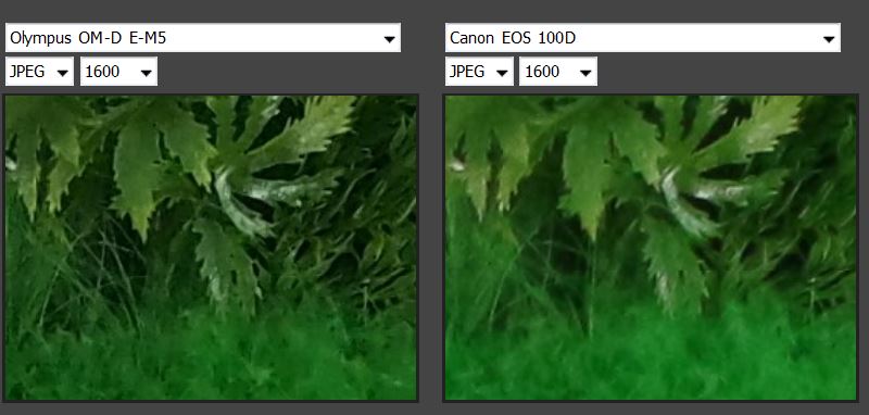800 x 382