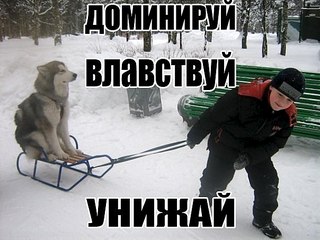 click for enlarge 604 X 453  58.4 Kb picture