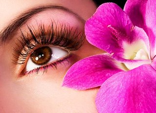 click for enlarge 496 X 359  51.7 Kb picture