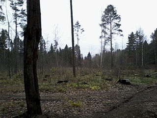 click for enlarge 1600 X 1200 348.6 Kb picture