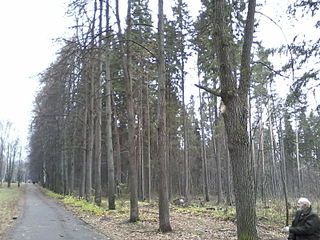 click for enlarge 1600 X 1200 427.1 Kb picture