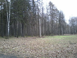 click for enlarge 1600 X 1200 478.8 Kb picture