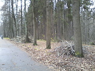 click for enlarge 1600 X 1200 459.0 Kb picture