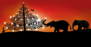 click for enlarge 640 X 332 96.5 Kb picture