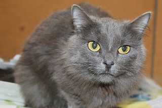 click for enlarge 1920 X 1280 135.9 Kb picture