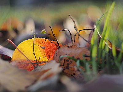 click for enlarge 1920 X 1440 739.9 Kb picture