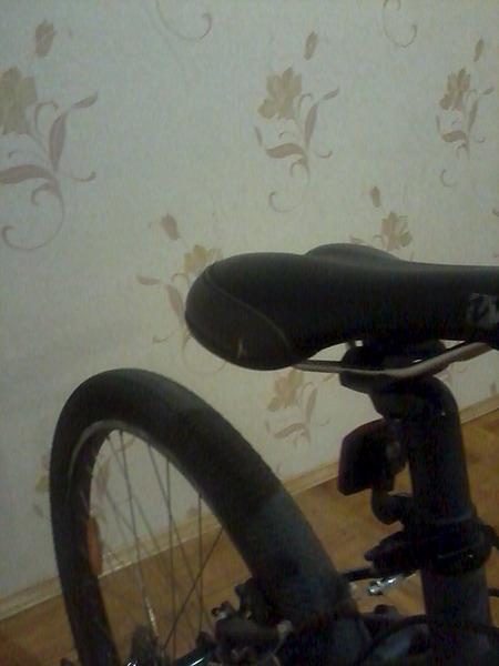 click for enlarge 1200 X 1600 328.4 Kb picture