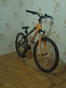 click for enlarge 1200 X 1600 380.6 Kb picture