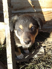 click for enlarge 1920 X 2560 536.3 Kb picture