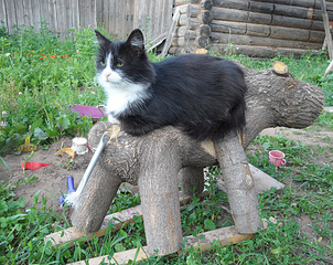 click for enlarge 1844 X 1464 721.2 Kb picture