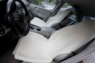 click for enlarge 500 X 333 38.1 Kb picture