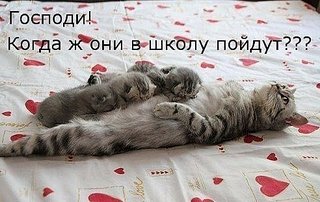click for enlarge 492 X 311  41.5 Kb picture