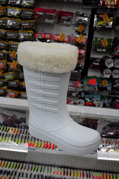 click for enlarge 1920 X 2890 979.2 Kb picture