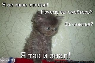 click for enlarge 500 X 332 32.7 Kb picture