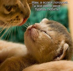 click for enlarge 600 X 580  65.2 Kb picture