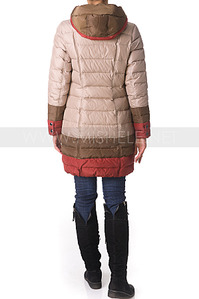 click for enlarge 598 X 900 89.4 Kb picture