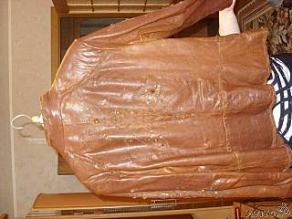 click for enlarge 640 X 480  40.2 Kb picture