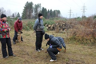 click for enlarge 604 X 403  78.1 Kb picture