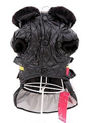 click for enlarge 400 X 542 38.6 Kb picture