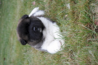 click for enlarge 1920 X 1278 560.6 Kb picture