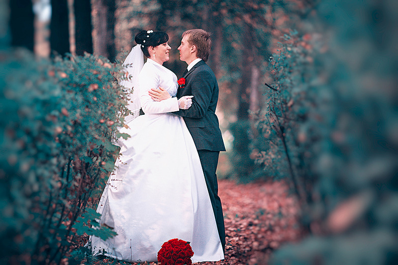 click for enlarge 900 X 600 457.1 Kb picture