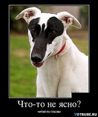 click for enlarge 550 X 656 42.2 Kb picture
