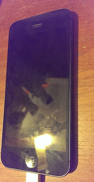 click for enlarge 1300 X 2500 886.6 Kb picture